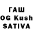 Псилоцибиновые грибы Magic Shrooms Nevalyshka Tomu_4