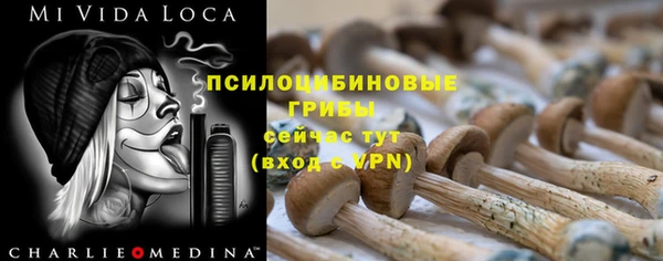 гидра Бугульма